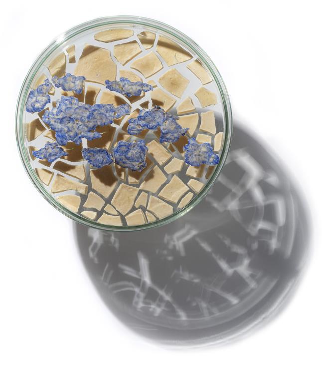 Chicco Margaroli, "Il latte della terra". (SteVePhoto)