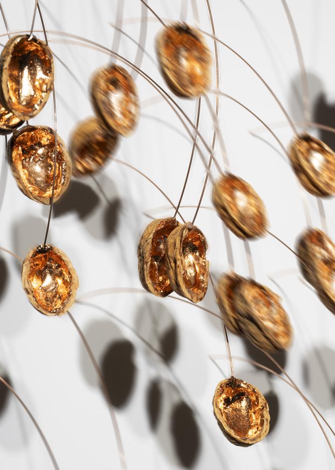 Chicco Margaroli, "In nuce". (SteVePhoto)