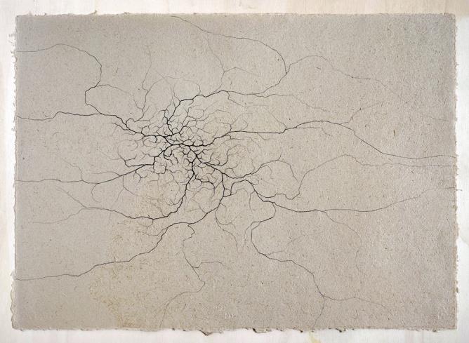 “Grounds drawing” 2023, grafite su carta, cm 50x70