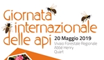Giornata api