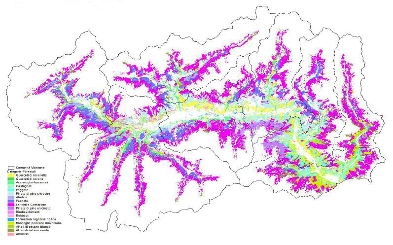 Carte delle categorie forestali