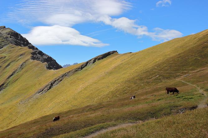 Morgex, Lago Licony. Pascoli daltura.