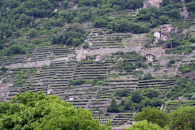 Donnas. Costa dei vigneti.