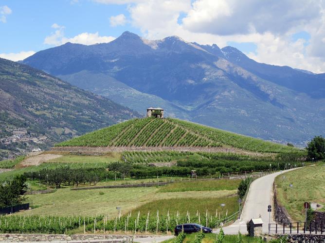 Aymavilles, hameau des Crtes. Vignoble.