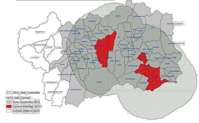 Mappa dell'area delimitata ad inizio 2024 (due zone infestate e una zona cuscinetto)